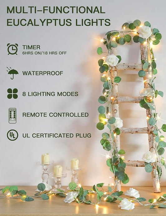 33ft Warm White Outdoor Edison String Lights, Weatherproof