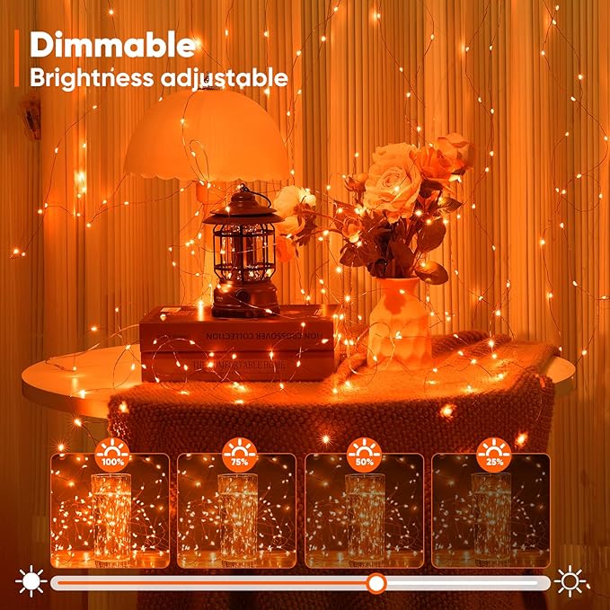 Christmas Fairy Lights 2-Pack, 6ft Battery Twinkle Lights