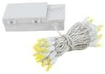 White Outdoor Edison String Lights, Weatherproof