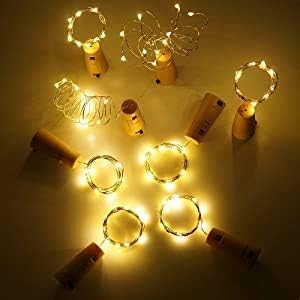 24-Pack 20 LED Christmas Twinkle Lights, Waterproof for Porch