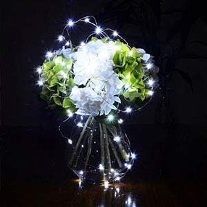 Fairy Lights Battery Operated, 10Feet 30 LED String Lights Indoor Outdoor, Starry Twinkle Light for Wedding Party Christmas Table Decorations, Cold White Bluish（AA Batteries not Included）