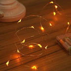 Christmas Twinkle Lights, 10ft Waterproof for Yard