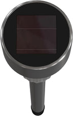 Solar Pathway Lights 12-Pack, Garden LED