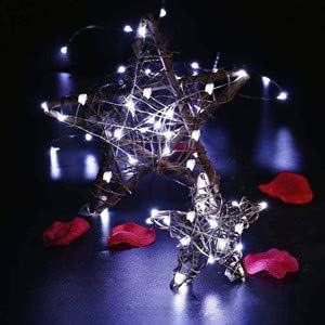Christmas Fairy Lights 6-Pack, 2ft 50 LED Battery Twinkle Lights