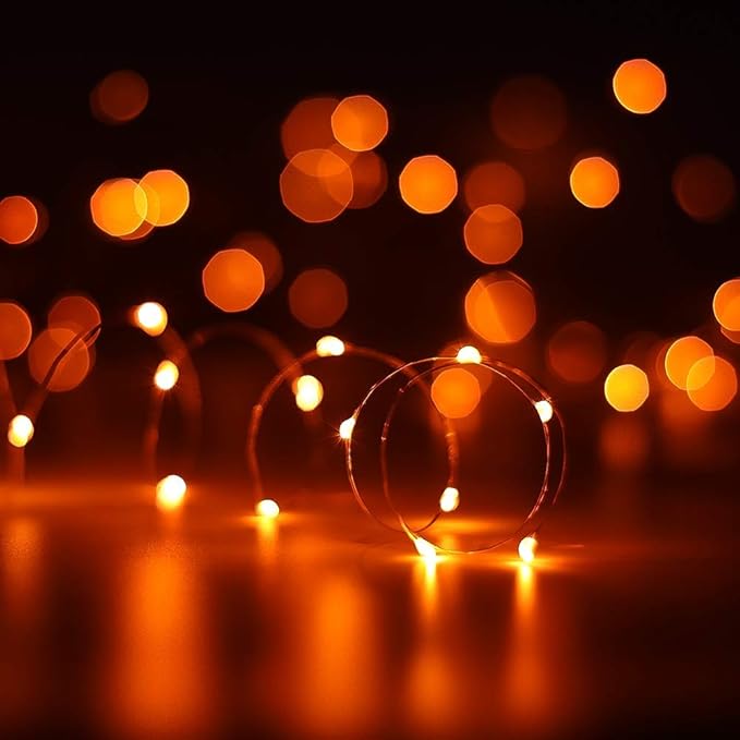 Christmas Yard String Lights 2-Pack, 30 LED Waterproof