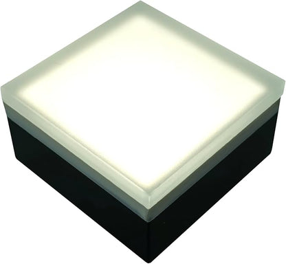 LUMENGY Paver Light 4x4 Inch (3.93x3.93), 5000K Daylight, Glare-Free Brick Lighting for Driveways, Walkways, Pool Decks and Patios, 12V Hardwired, IP67 Waterproof, Drive-Over Rated