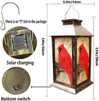 Cardinal Solar Yard Lanterns, Classic Waterproof LED