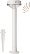 White Solar Path Lights, Outdoor Walkway LED