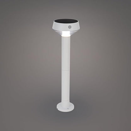 EcoPath Solar Collection LED Landscape Path Light or Fence Post Light with Linkable IR Motion Sensor and Daylight Sensor 80 Lumens 8 Hours on Full Charge 3000K in White
