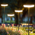 8-Pack Solar Pathway Lights, IP65 Waterproof LED Yard Lights