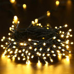 100 LED Christmas Fairy Lights, Twinkle Waterproof