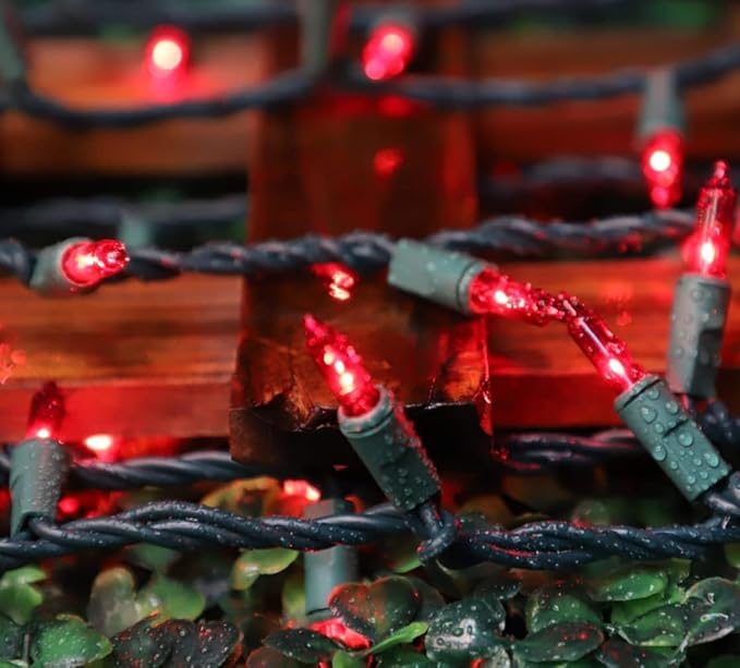LAMPHOME 100 Count Red Valentine's Day Lights with 20FT Green Wire Waterproof,Mini String Lights for Holiday Decorations, Christmas Tree, Party, Wedding, Xmas, Home, Indoor & Outdoor Use
