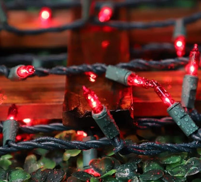 LAMPHOME 100 Count Red Valentine's Day Lights with 20FT Green Wire Waterproof,Mini String Lights for Holiday Decorations, Christmas Tree, Party, Wedding, Xmas, Home, Indoor & Outdoor Use