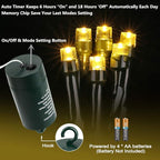 Warm White Christmas Lights, 66ft LED Twinkle