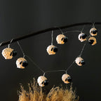 Black Outdoor Edison String Lights, Weatherproof