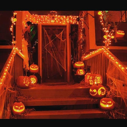 LAMPHOME Orange Halloween Light, 100 Count 20FT String Light,120V UL Certified Orange String Lights, Plug in Brown Wire Fall Lights Waterproof for Spooky Thanksgiving Party Decor