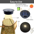 2-Pack LED Solar Novelty Garden Lights