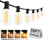 Outdoor Globe Café String Lights, 55ft LED Bulbs