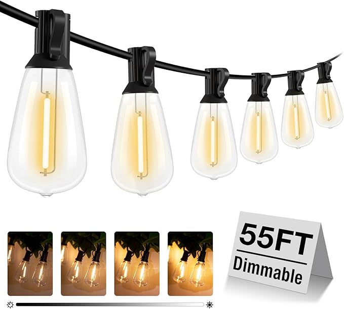 Outdoor Globe Café String Lights, 55ft LED Bulbs