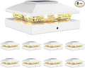 8-Pack Warm White Fence Post Cap Lights, Solar LED