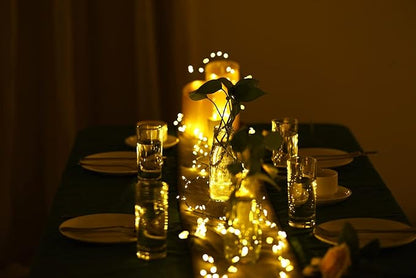 Dailyart 6feet 120 LED Starry Lights, Battery Operated Waterproof Dark Green Copper Wire Fairy Light String Light for Garland, Wreath, Patio, Garden, Wedding, Party, Xmas