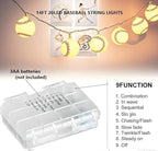 14ft Outdoor Edison String Lights, Weatherproof