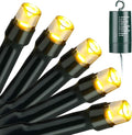 100 LED Christmas Fairy Lights, Twinkle Waterproof