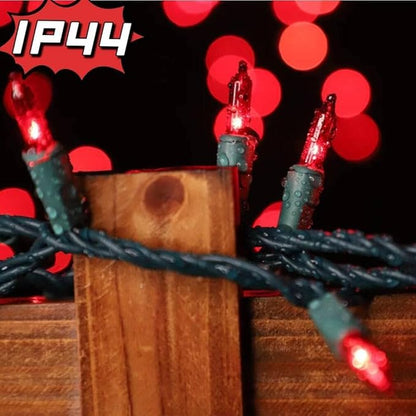 LAMPHOME 100 Count Red Valentine's Day Lights with 20FT Green Wire Waterproof,Mini String Lights for Holiday Decorations, Christmas Tree, Party, Wedding, Xmas, Home, Indoor & Outdoor Use