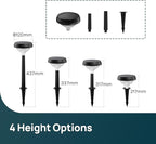 Warm White Solar Pathway Lights 4-Pack, Garden LED
