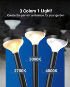 Solar Walkway Path Lights 6-Pack, Waterproof