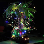 2-Pack 39ft Christmas LED String Lights, Waterproof Timer Lights