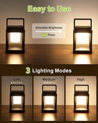 Backyard Solar Lanterns, Waterproof LED Backyard Lights