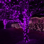 Halloween String Lights, 18ft 50 LED Waterproof Twinkle Lights