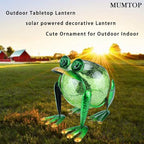 Classic Frog Solar Lanterns for Porch, Waterproof LED