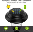 Cool White Solar Pathway Lights 8-Pack, Walkway LED