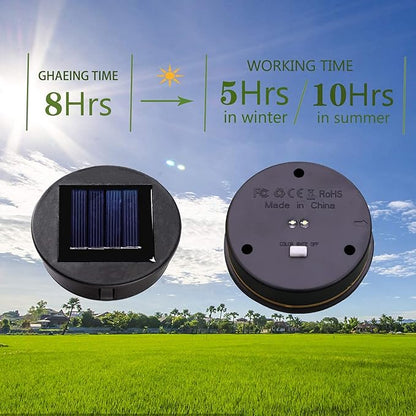 ZNYCYE 2 Pack Upgraded Solar Replacement Top(Top Size 3.15 in, Bottom Size 2.76 in) Double LED Light Modes for Outdoor Lanterns Garden Patio Decor(Warm White&Cool White)