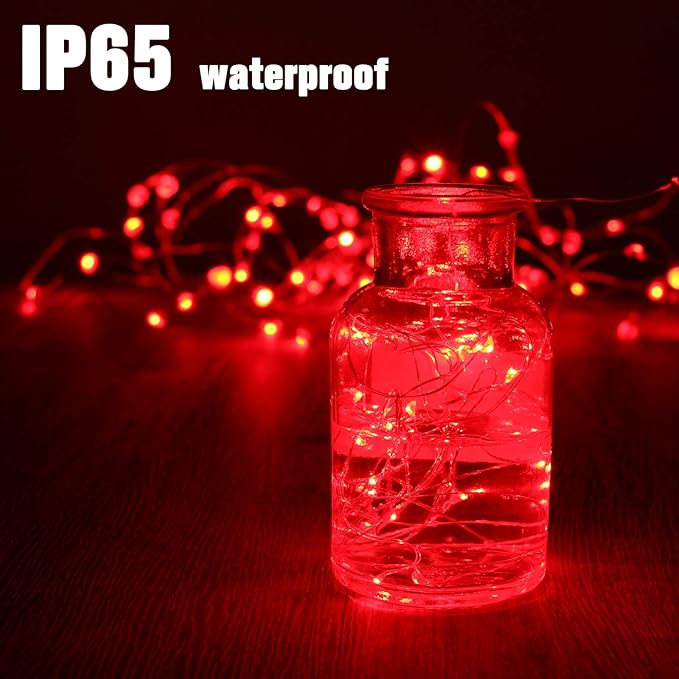10ft Red String Lights for Backyard, Waterproof LED