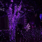 20ft Halloween LED String Lights, Waterproof Timer Lights