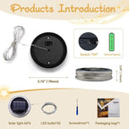 String Lights for Yard, Waterproof LED