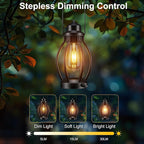 Solar Garden Lanterns 2-Pack, Outdoor Hanging LED Decor