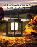Backyard Solar Lanterns, Waterproof LED Backyard Lights