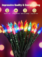 Christmas Porch String Lights 2-Pack, 8ft 20 LED Waterproof