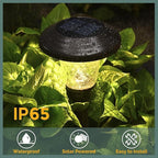 Warm White Solar Pathway Lights 8-Pack, Driveway LED