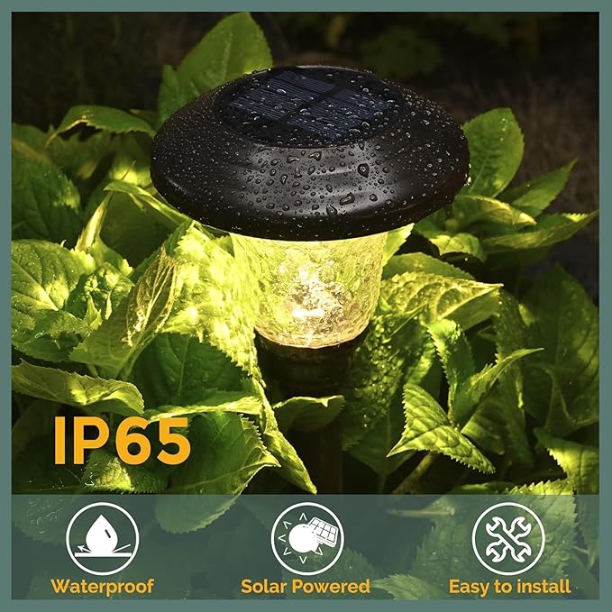Warm White Solar Pathway Lights 8-Pack, Driveway LED