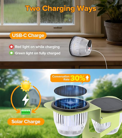 Solar Pathway Lights Outdoor, Dual Head Pathway Lights, Brighter 500 lumens with 2-in-1 Solar and USB Charging Modes, IP65 Waterproof, Garden Lights for Lawn Patio Walkway, Green-2 Pack