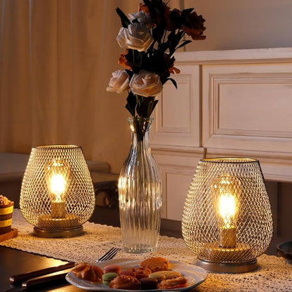 JHY DESIGN Set of 2 Metal Cage LED Lantern Battery Powered Cordless Accent Light with LED Great for Weddings Parties Patio Events for Indoors Outdoors(Silver)
