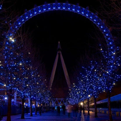 Joomer Blue Battery Christmas Lights, 66ft 200LED Fairy Lights Battery Operated Timer 8 Modes Waterproof for Outdoor Home Garden Party Holiday Christmas Trees Decoration
