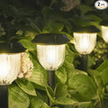 2-Pack Warm White Solar Path Lights, Outdoor Walkway LED