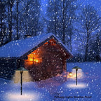 Black Solar Path Lights, Outdoor Garden LED