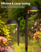 Solar Pathway Lights 6-Pack, Garden LED